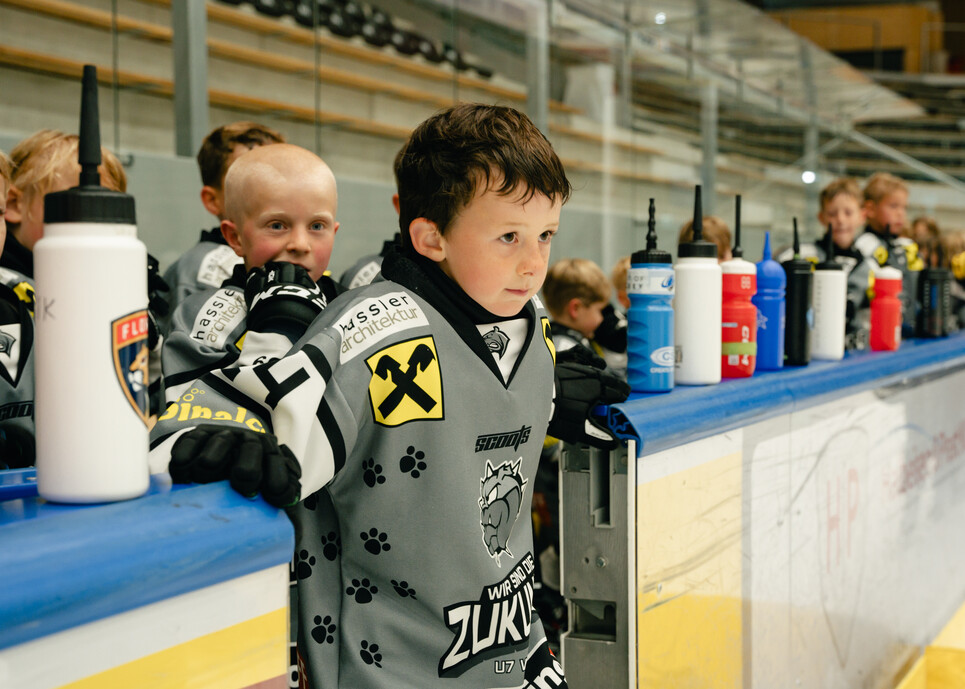 Bulldos-Rheintal-Future-9.jpg Bulldos-Rheintal-Future-9.jpg