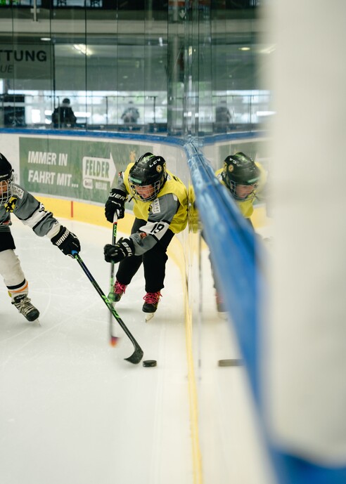 Bulldos-Rheintal-Future-13.jpg Bulldos-Rheintal-Future-13.jpg