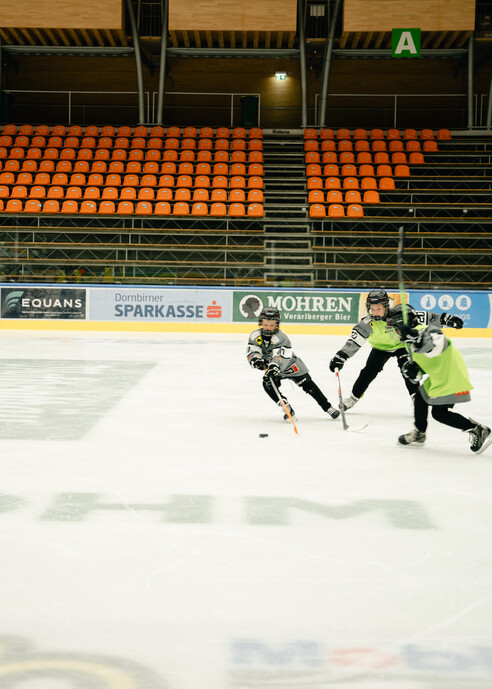 Bulldos-Rheintal-Future-14.jpg Bulldos-Rheintal-Future-14.jpg