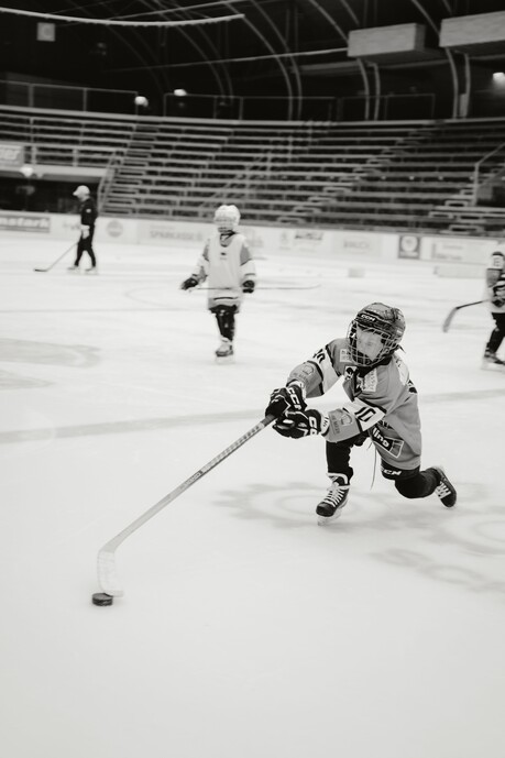 Bulldos-Rheintal-Future-15.jpg Bulldos-Rheintal-Future-15.jpg