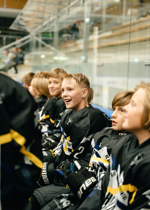 Bulldos-Rheintal-Future-20.jpg Bulldos-Rheintal-Future-20.jpg